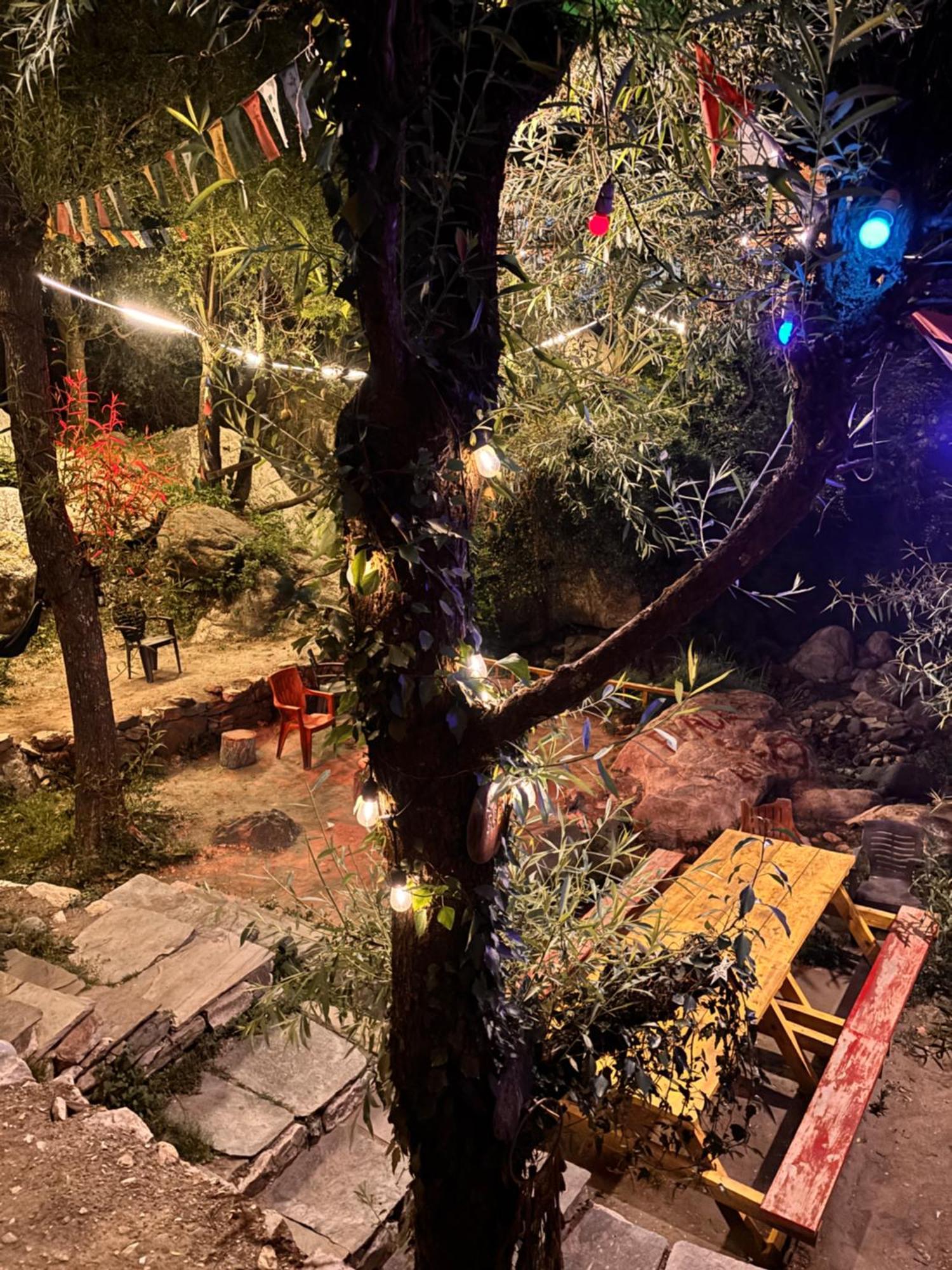 The Cozy Cabin, Jibhi Banjār エクステリア 写真